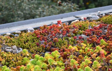 the cost of Saddlescombe green roof installation